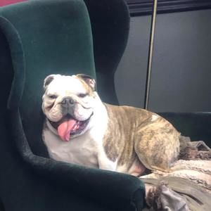 Meet your Posher, Karen